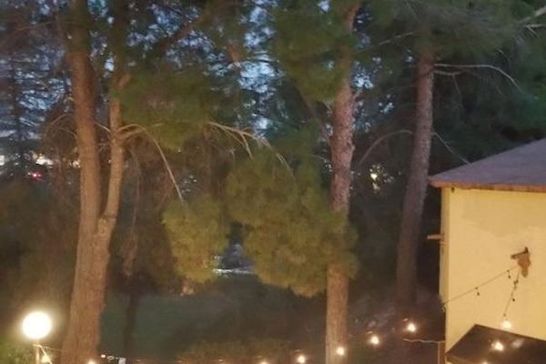 Mariposa Hotel (Nogales)